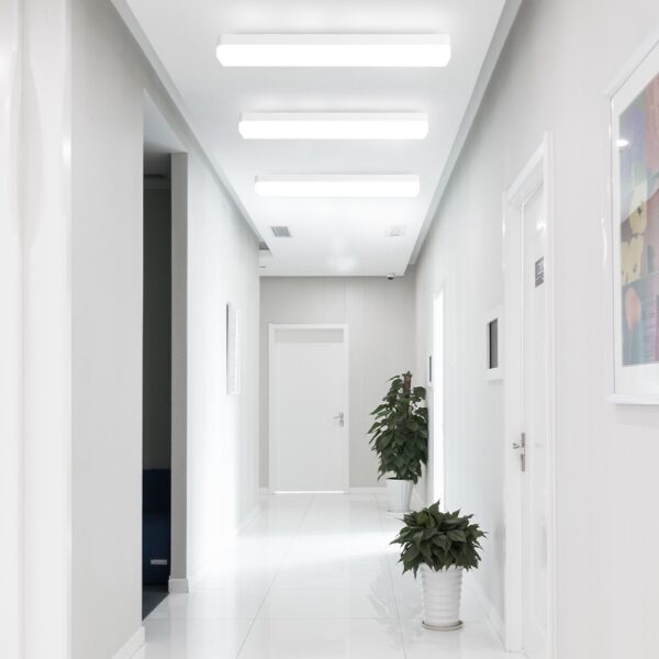Long strip lamp